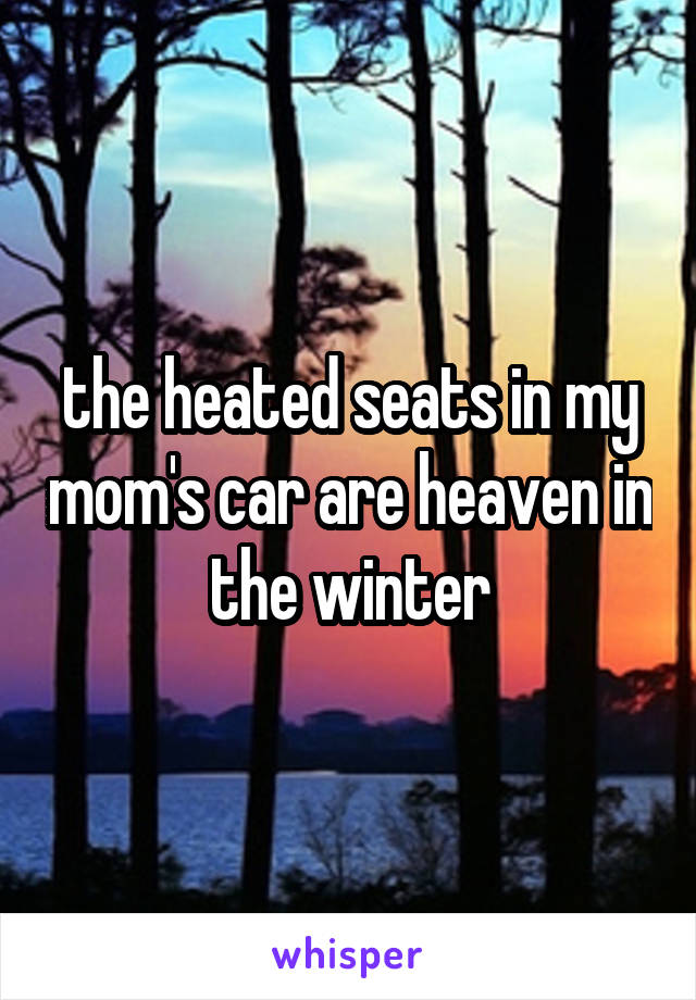 the heated seats in my mom's car are heaven in the winter