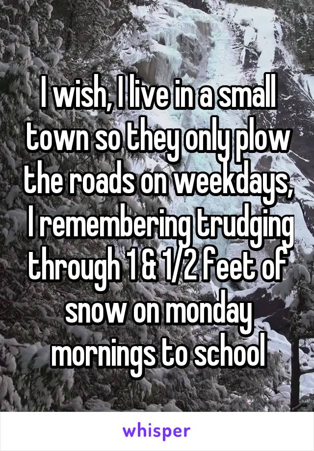 I wish, I live in a small town so they only plow the roads on weekdays,  I remembering trudging through 1 & 1/2 feet of snow on monday mornings to school