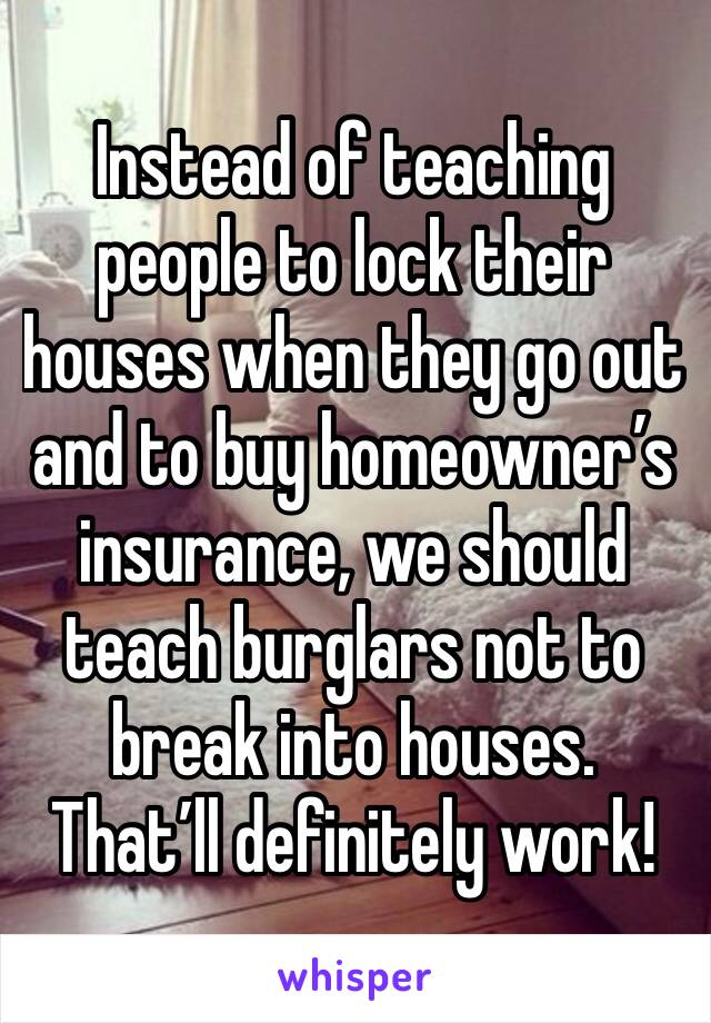 Instead of teaching people to lock their houses when they go out and to buy homeowner’s insurance, we should teach burglars not to break into houses. That’ll definitely work!