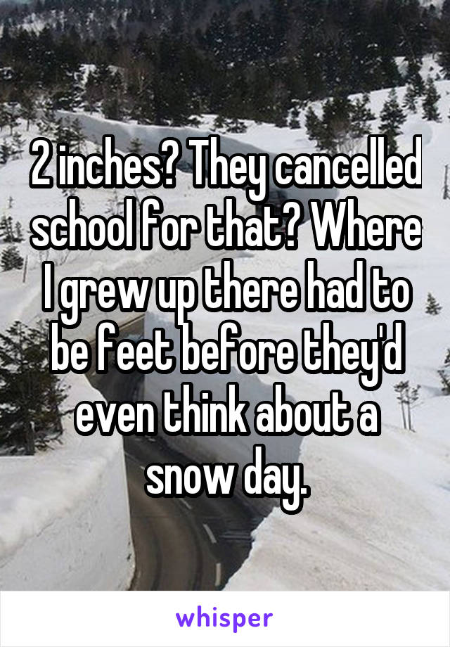 2 inches? They cancelled school for that? Where I grew up there had to be feet before they'd even think about a snow day.