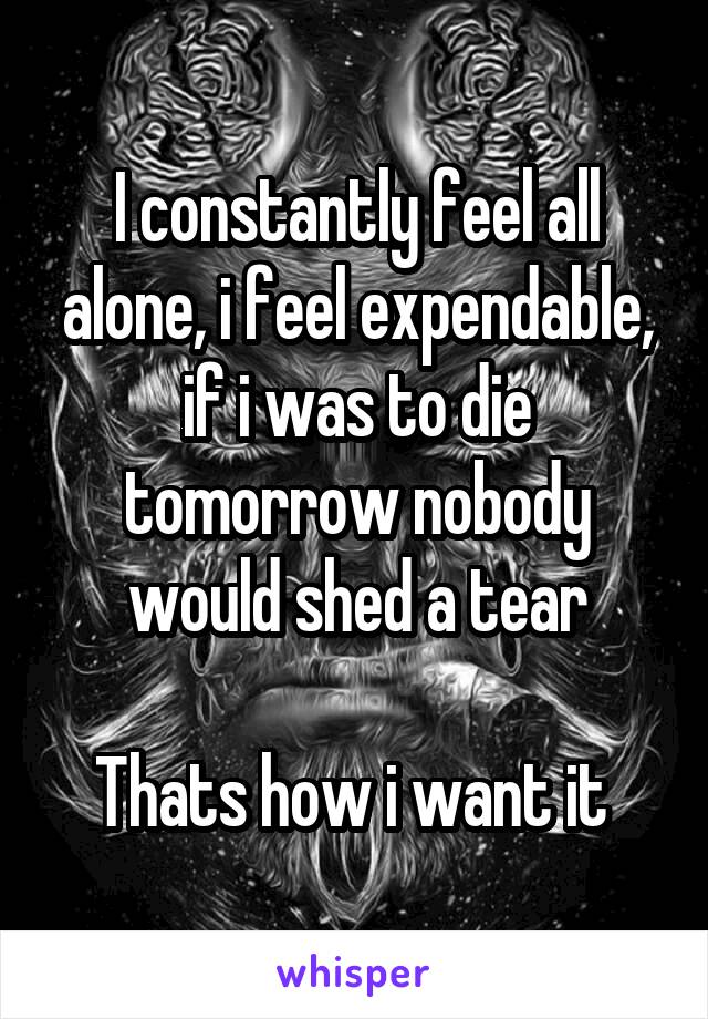 I constantly feel all alone, i feel expendable, if i was to die tomorrow nobody would shed a tear

Thats how i want it 