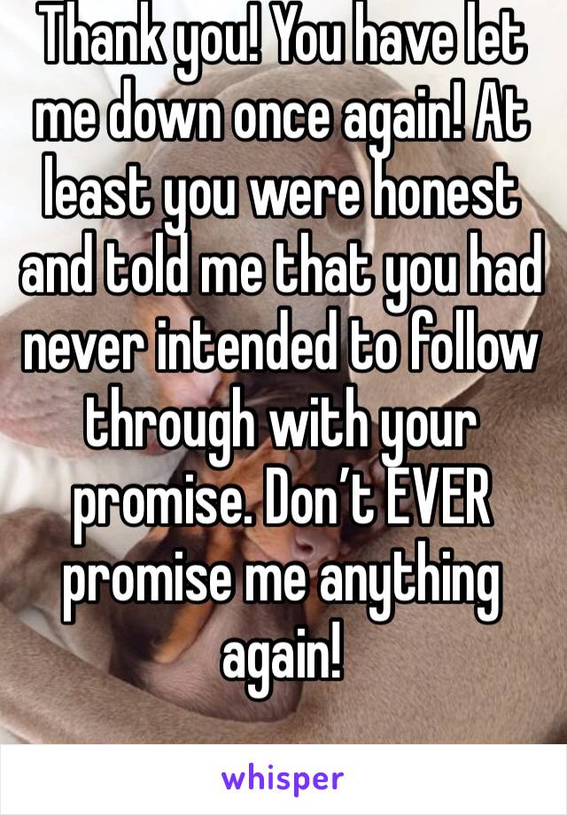 Thank you! You have let me down once again! At least you were honest and told me that you had never intended to follow through with your promise. Don’t EVER promise me anything again!