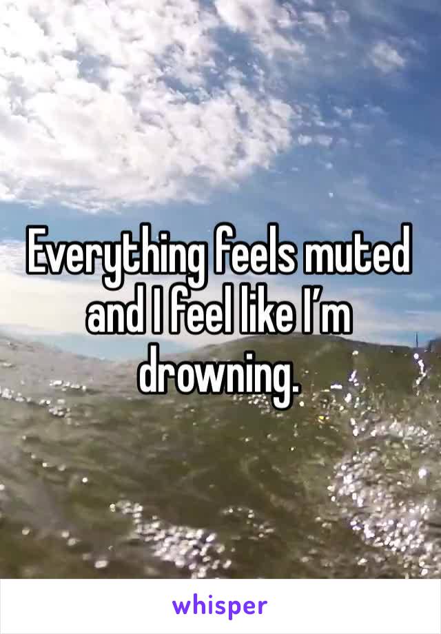 Everything feels muted and I feel like I’m drowning. 