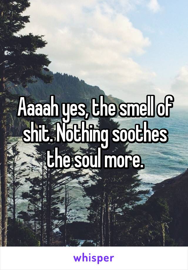Aaaah yes, the smell of shit. Nothing soothes the soul more.