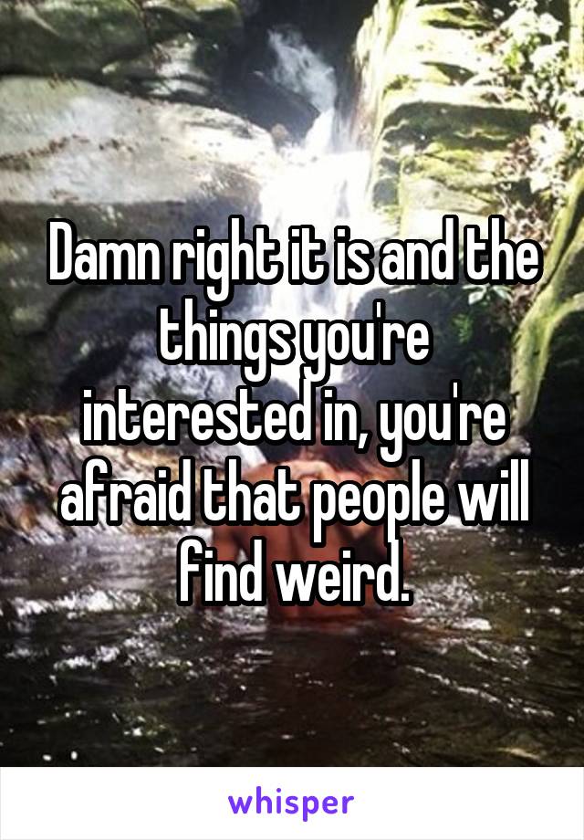 Damn right it is and the things you're interested in, you're afraid that people will find weird.