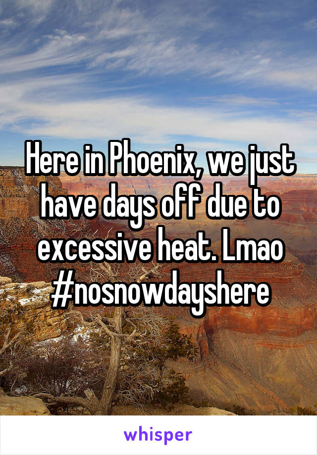 Here in Phoenix, we just have days off due to excessive heat. Lmao #nosnowdayshere