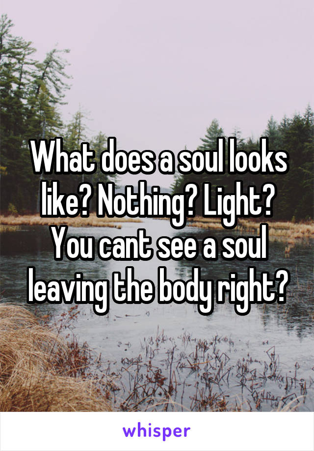 What does a soul looks like? Nothing? Light?
You cant see a soul leaving the body right?