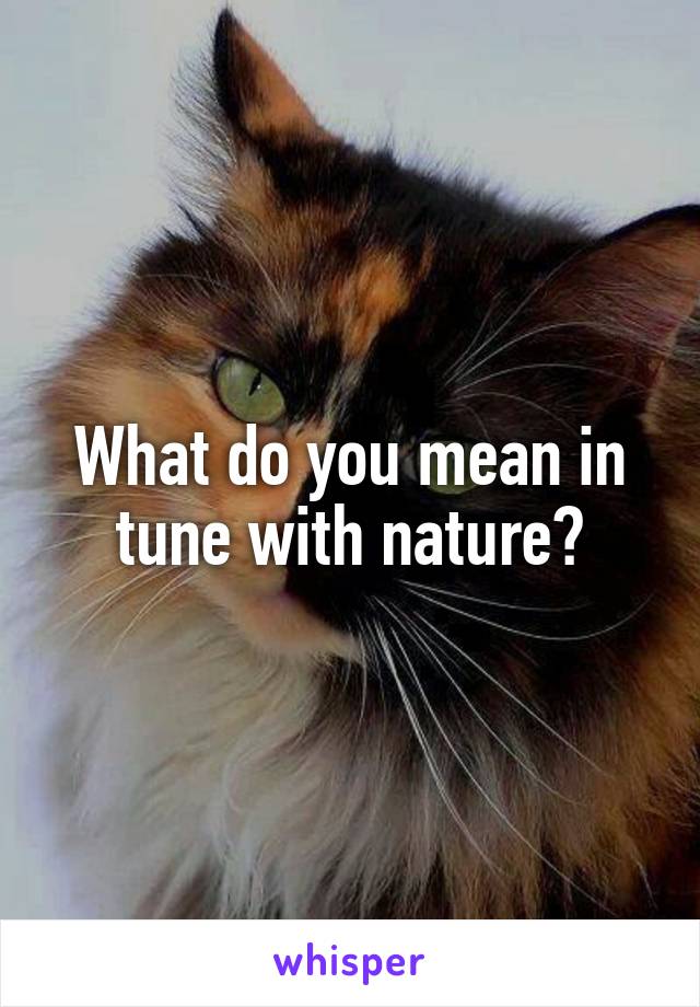 What do you mean in tune with nature?
