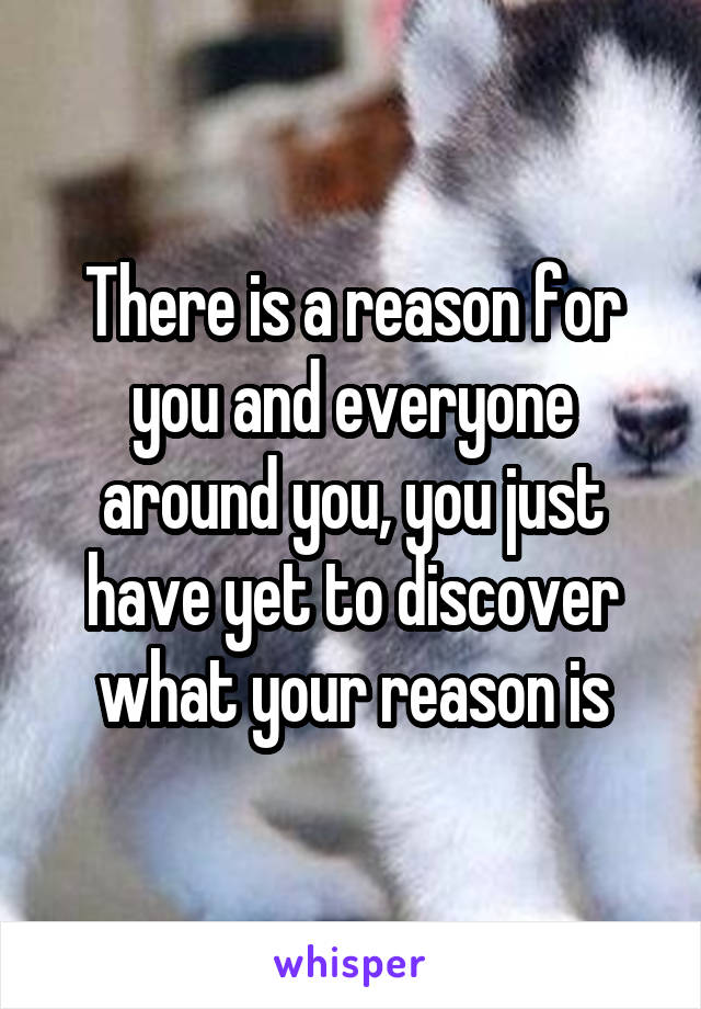 There is a reason for you and everyone around you, you just have yet to discover what your reason is