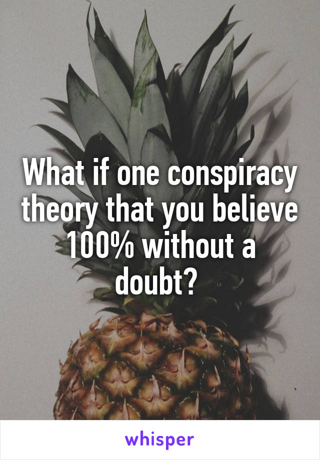 What if one conspiracy theory that you believe 100% without a doubt? 