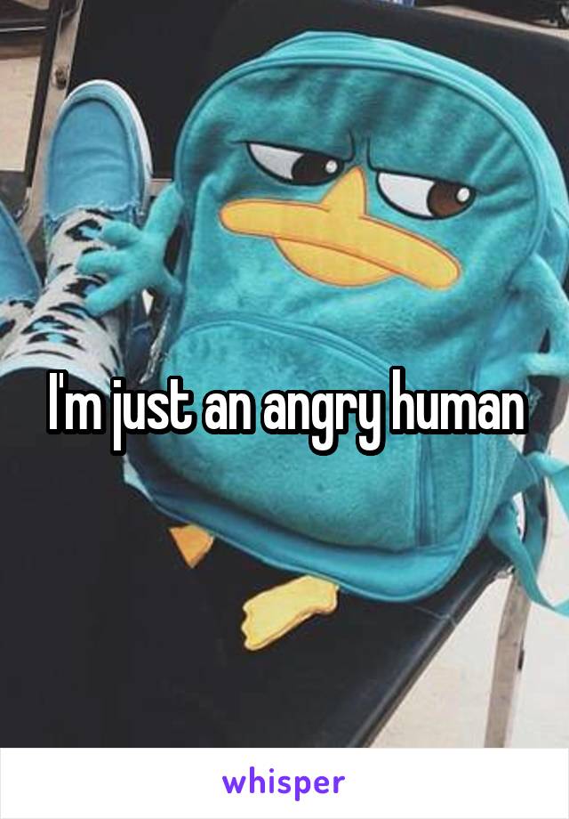 I'm just an angry human