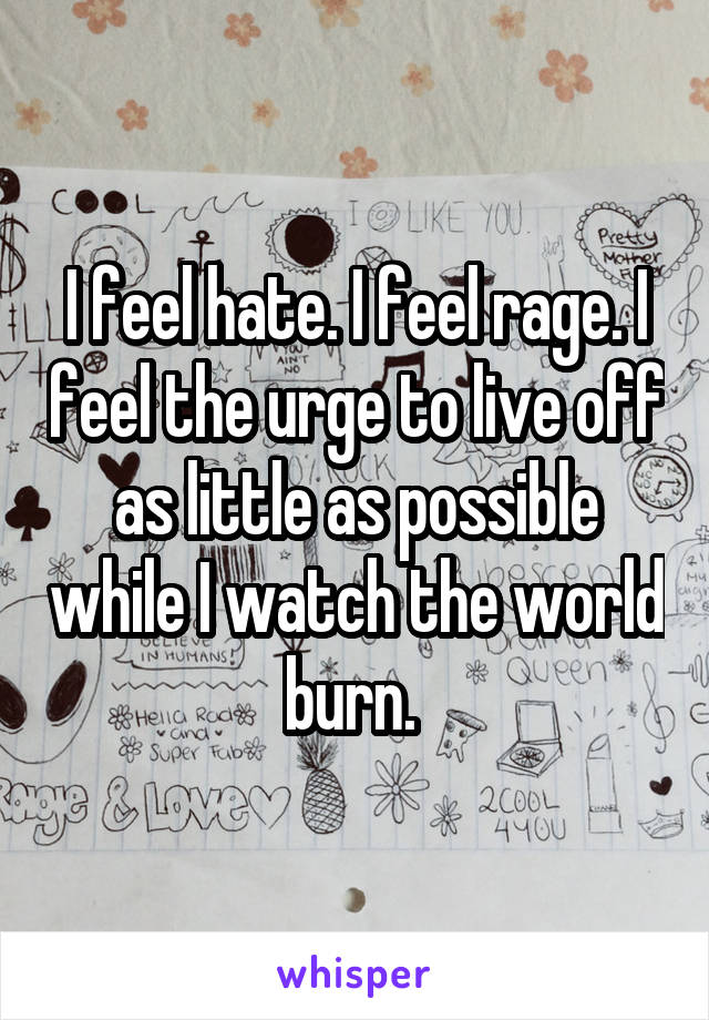 I feel hate. I feel rage. I feel the urge to live off as little as possible while I watch the world burn. 