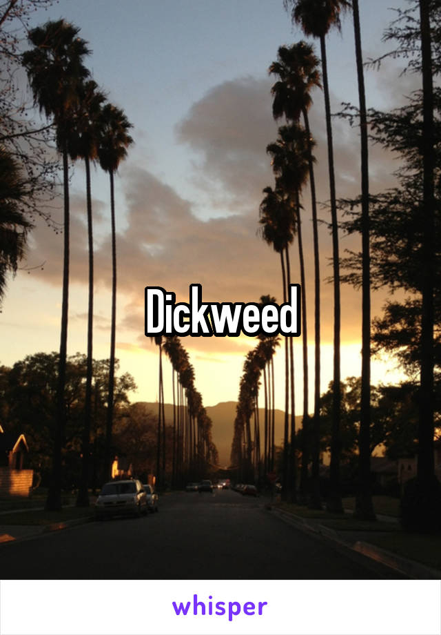 Dickweed
