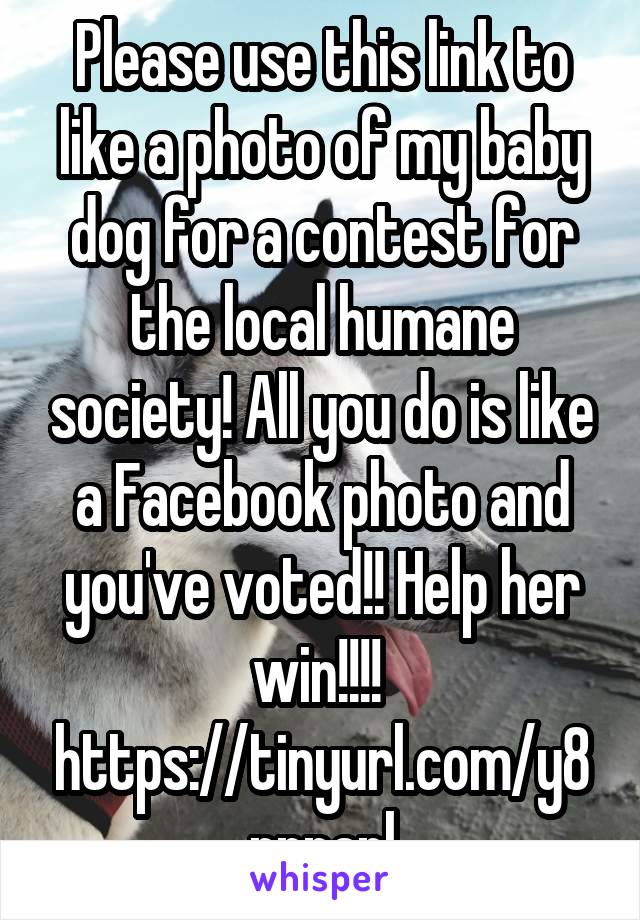 Please use this link to like a photo of my baby dog for a contest for the local humane society! All you do is like a Facebook photo and you've voted!! Help her win!!!!  https://tinyurl.com/y8pnpanl
