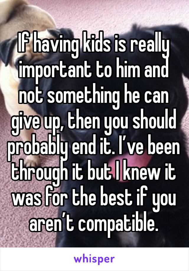 If having kids is really important to him and not something he can give up, then you should probably end it. I’ve been through it but I knew it was for the best if you aren’t compatible. 