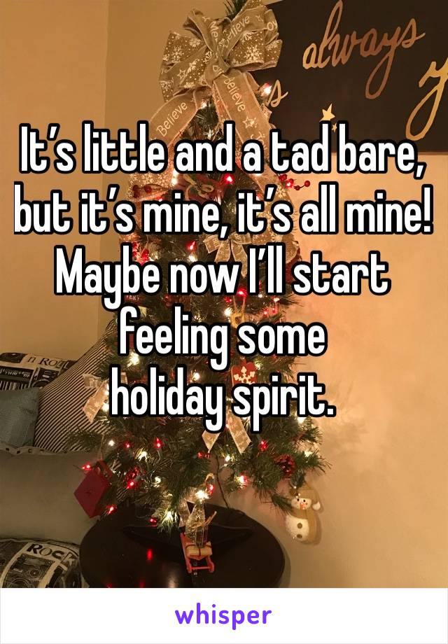 It’s little and a tad bare, but it’s mine, it’s all mine! Maybe now I’ll start feeling some 
holiday spirit.
