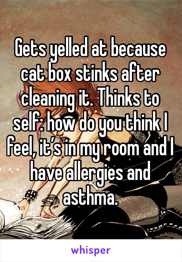 Gets yelled at because cat box stinks after cleaning it. Thinks to self: how do you think I feel, it’s in my room and I have allergies and asthma.