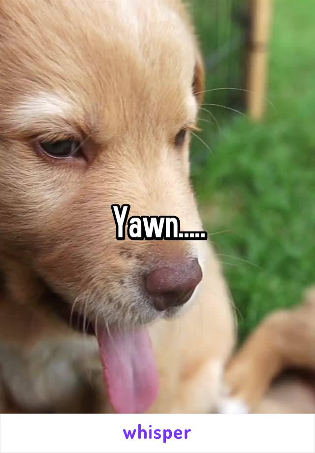 Yawn.....