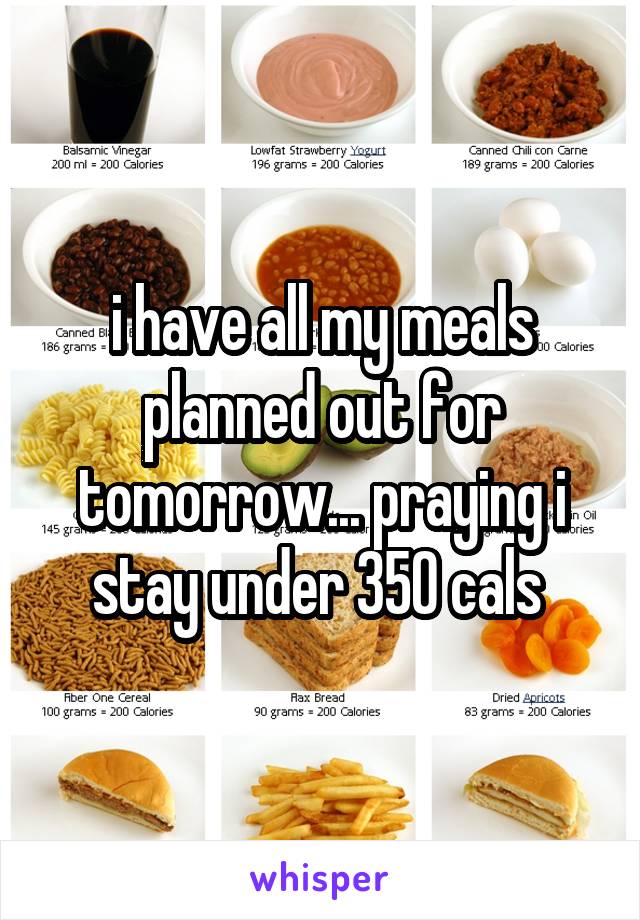i have all my meals planned out for tomorrow... praying i stay under 350 cals 