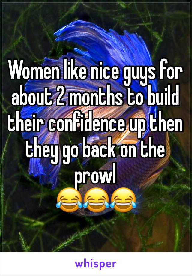 Women like nice guys for about 2 months to build their confidence up then they go back on the prowl 
😂😂😂