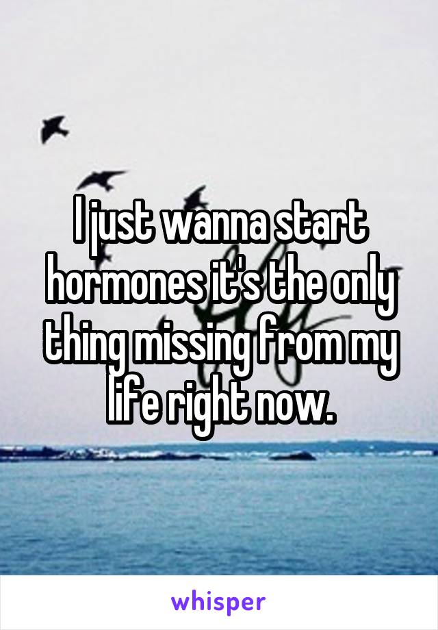 I just wanna start hormones it's the only thing missing from my life right now.