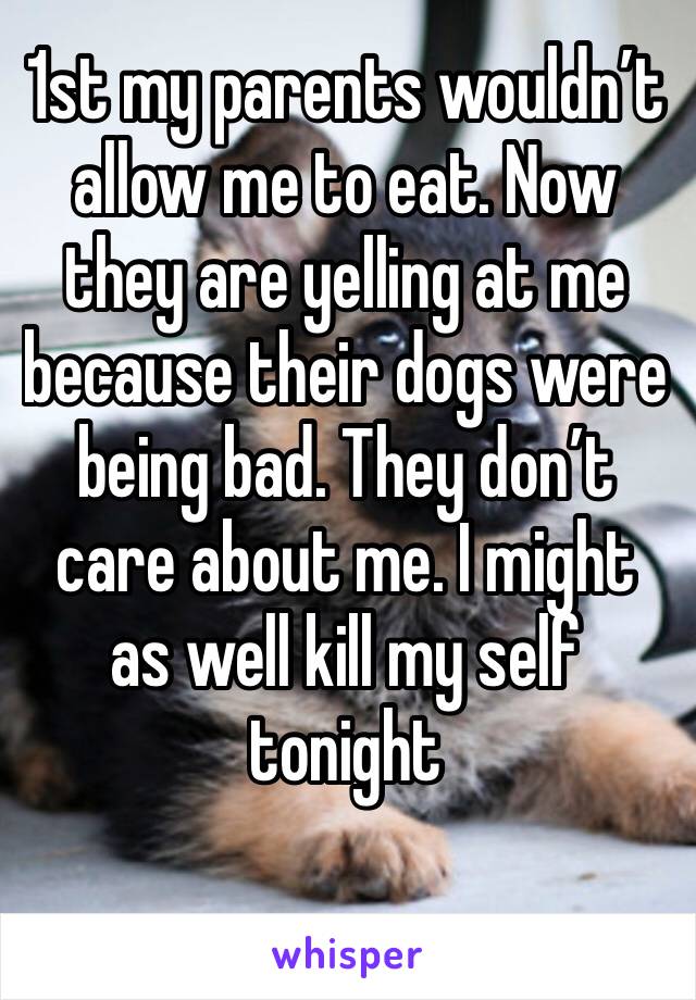 1st my parents wouldn’t allow me to eat. Now they are yelling at me because their dogs were being bad. They don’t care about me. I might as well kill my self tonight