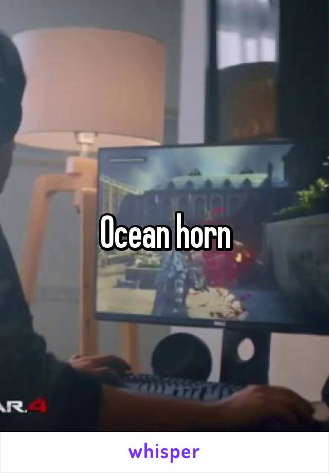 Ocean horn