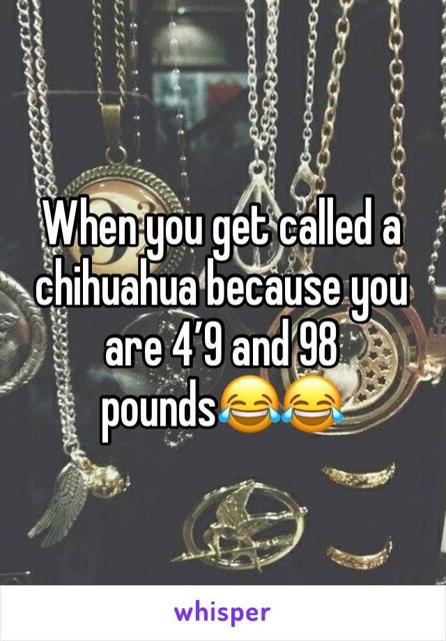 When you get called a chihuahua because you are 4’9 and 98 pounds😂😂