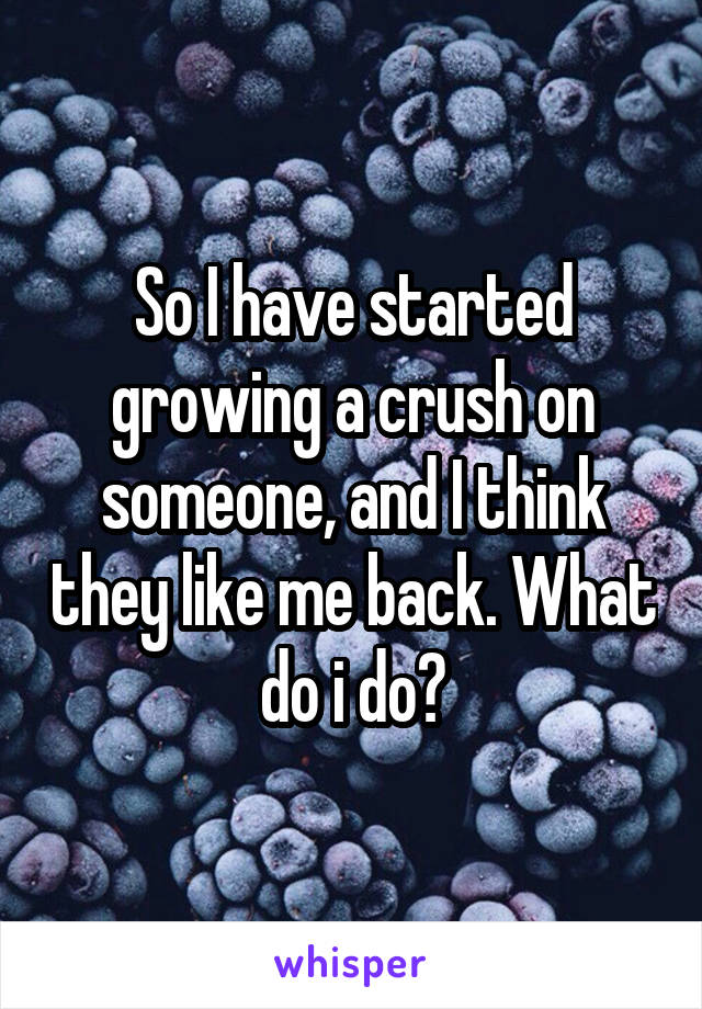 So I have started growing a crush on someone, and I think they like me back. What do i do?