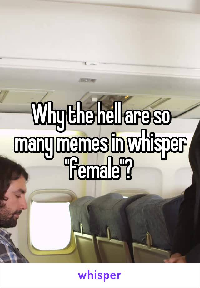 Why the hell are so many memes in whisper "female"? 