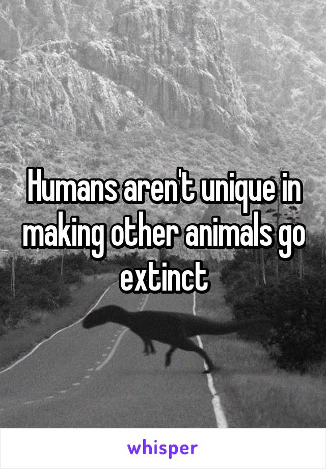 Humans aren't unique in making other animals go extinct