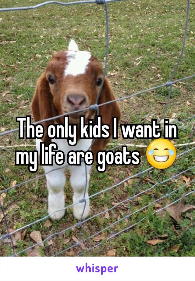 The only kids I want in my life are goats 😂