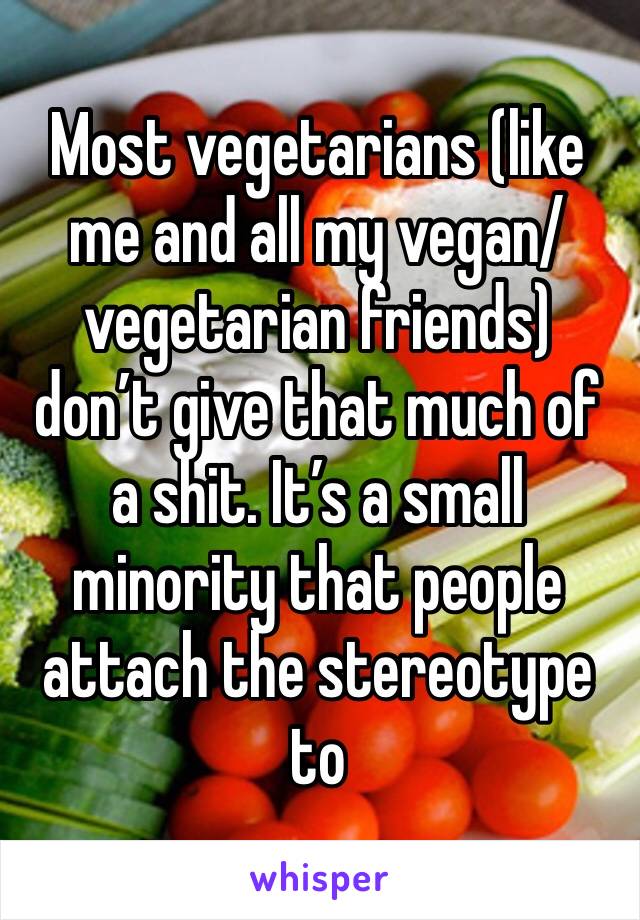 Most vegetarians (like me and all my vegan/vegetarian friends) don’t give that much of a shit. It’s a small minority that people attach the stereotype to