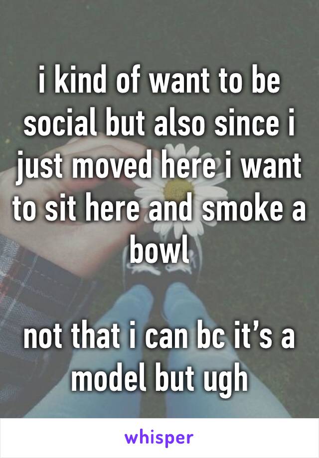 i kind of want to be social but also since i just moved here i want to sit here and smoke a bowl

not that i can bc it’s a model but ugh 