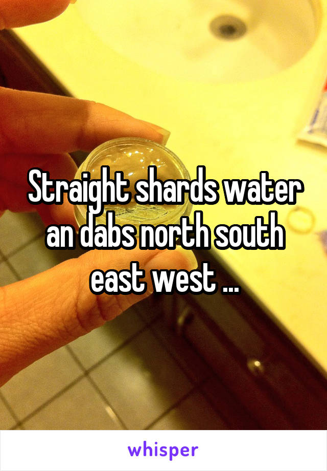 Straight shards water an dabs north south east west ...