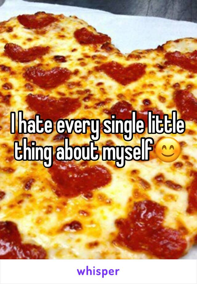 I hate every single little thing about myself😊
