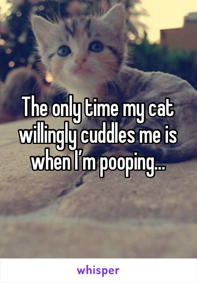 The only time my cat willingly cuddles me is when I’m pooping...