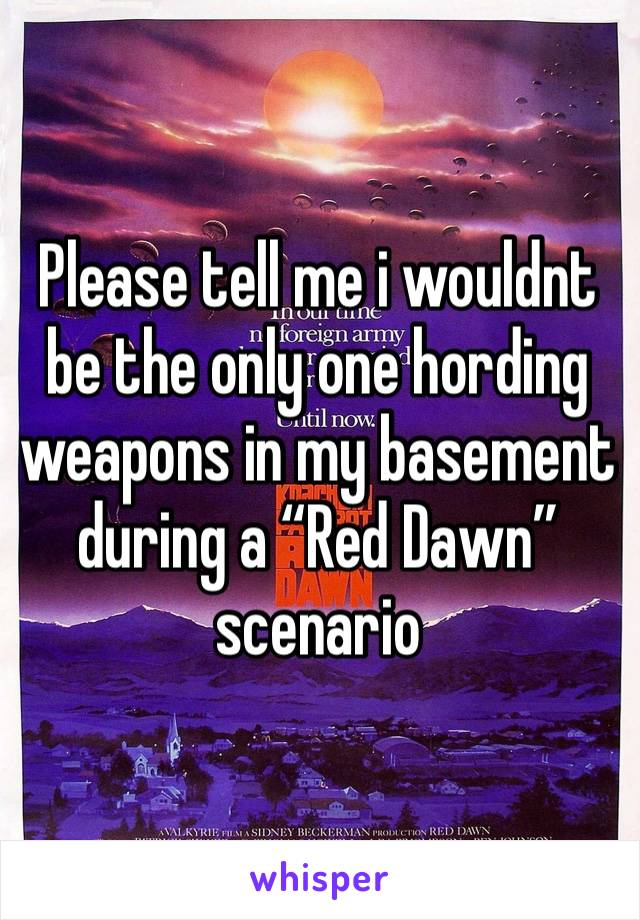 Please tell me i wouldnt be the only one hording weapons in my basement during a “Red Dawn” scenario