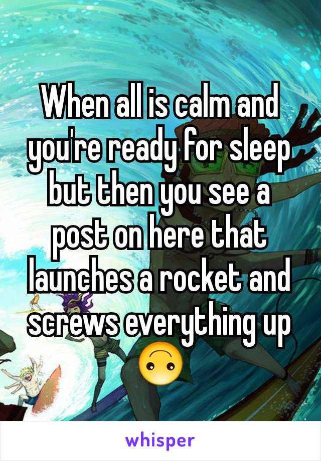 When all is calm and you're ready for sleep but then you see a post on here that launches a rocket and screws everything up 🙃
