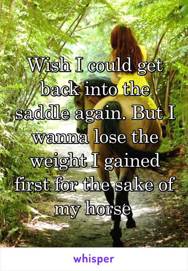 Wish I could get back into the saddle again. But I wanna lose the weight I gained first for the sake of my horse 