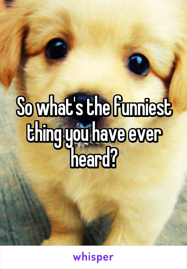 So what's the funniest thing you have ever heard?
