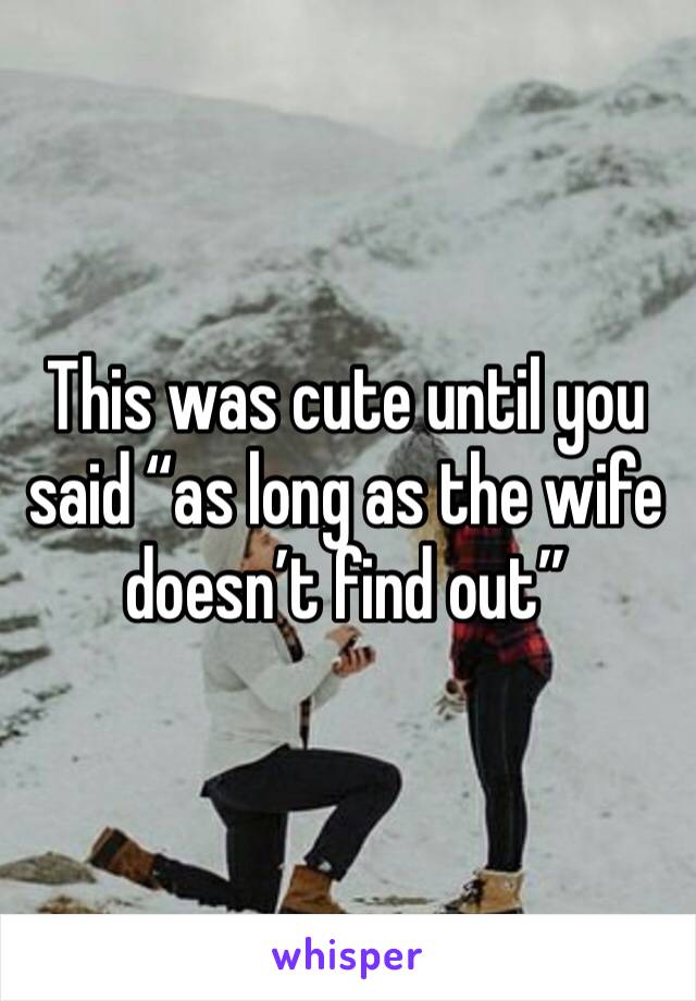 This was cute until you said “as long as the wife doesn’t find out”