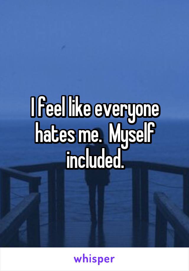 I feel like everyone hates me.  Myself included.
