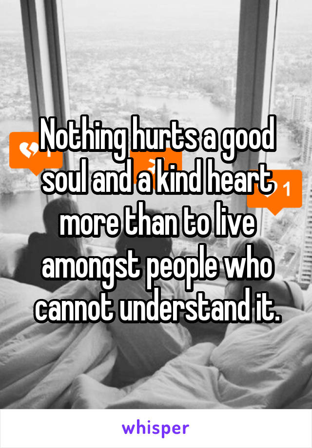 Nothing hurts a good soul and a kind heart more than to live amongst people who cannot understand it.