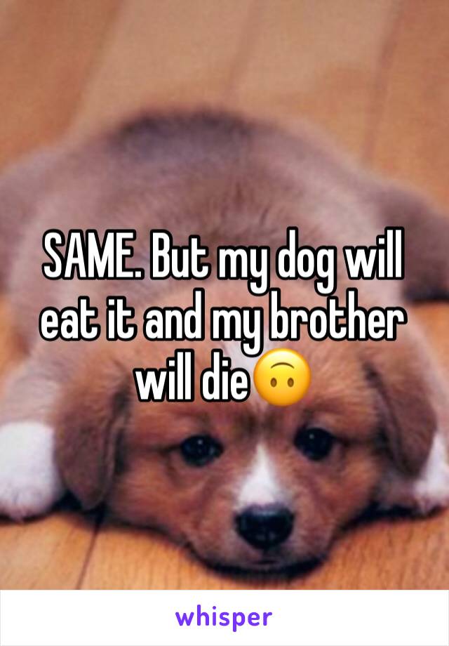 SAME. But my dog will eat it and my brother will die🙃