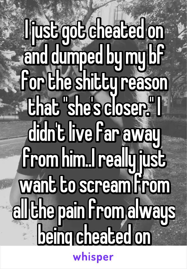 I just got cheated on and dumped by my bf for the shitty reason that "she's closer." I didn't live far away from him..I really just want to scream from all the pain from always being cheated on