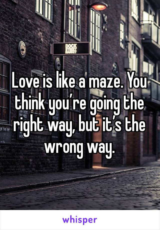 Love is like a maze. You think you’re going the right way, but it’s the wrong way. 
