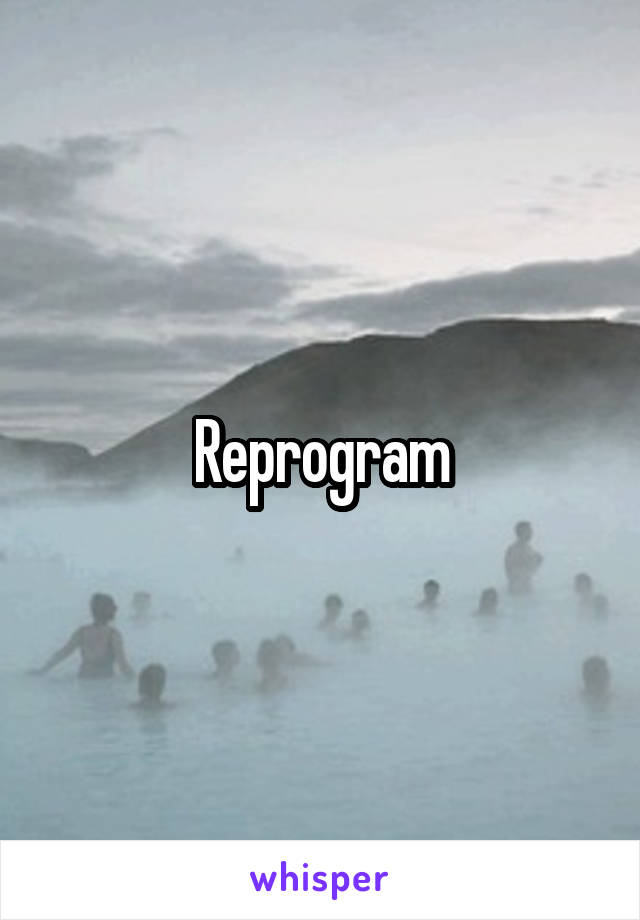 Reprogram