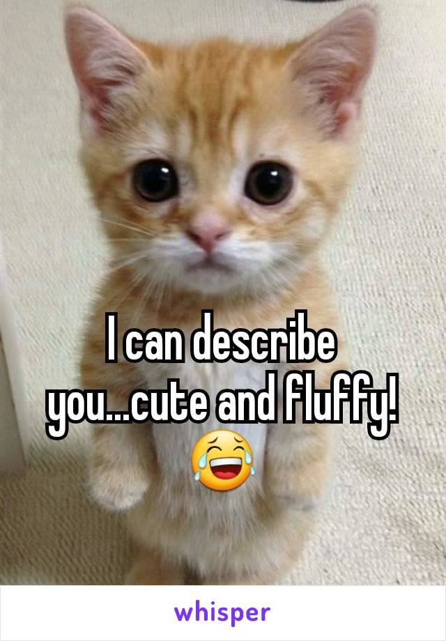 I can describe you...cute and fluffy! 😂