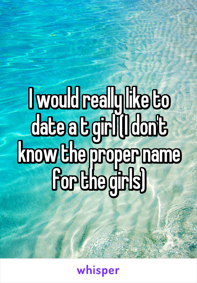 I would really like to date a t girl (I don't know the proper name for the girls)